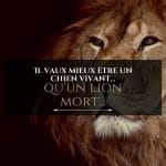 Il vaut mieux être un chien vivant qu'un lion mort...