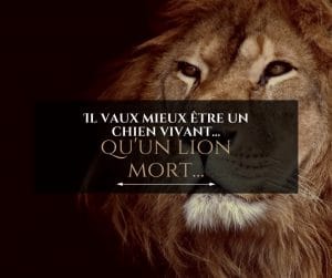 Il vaut mieux être un chien vivant qu'un lion mort...