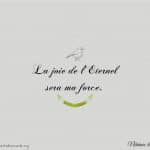 La joie de l'Éternel est ma force