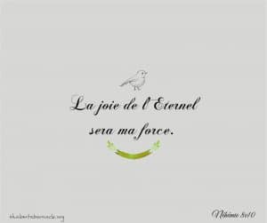 La joie de l'Éternel est ma force