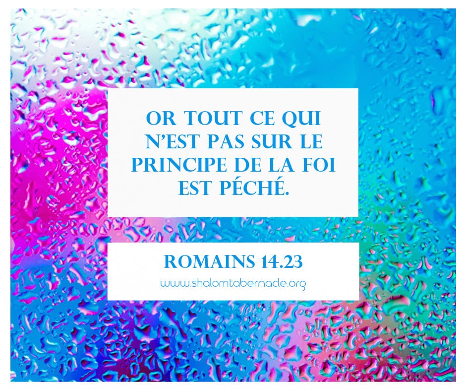 romain 14 verset 3 explication
