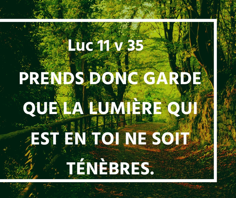 luc 11 v 20